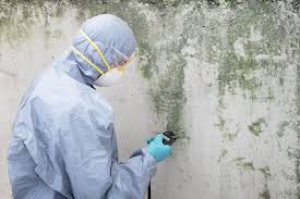 Mold Remediation for Rental Properties in Summerville, GA